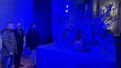 Belén Municipal Zamora _14