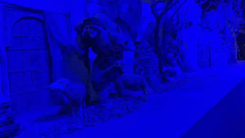 Belén Municipal Zamora _3