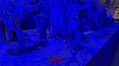 Belén Municipal Zamora _9