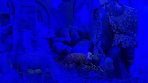 Belén Municipal Zamora _10