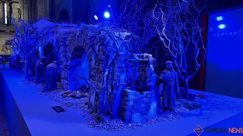 Belén Municipal Zamora _12