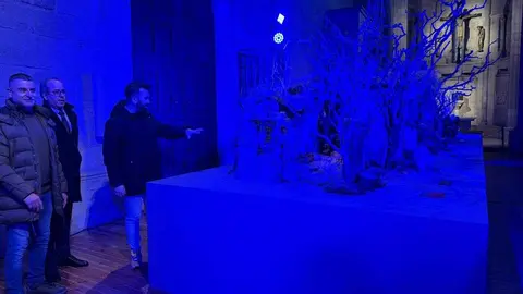 Belén Municipal Zamora _13