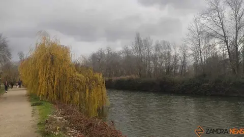 d&iacute;a de fr&iacute;o en Zamora 