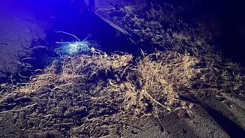 acumulado de tierra y hierba en la calzada