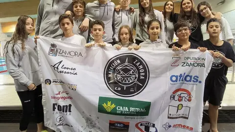 Liga Alevín Infantil Valladolid