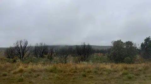 d&iacute;a de lluvia en la Sierra de la Culebra 