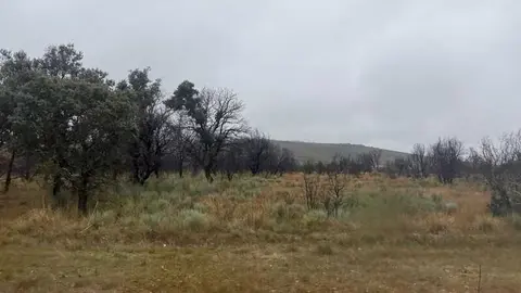 d&iacute;a de lluvia en la Sierra de la Culebra _3