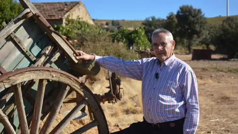 Cochinillos la salvación