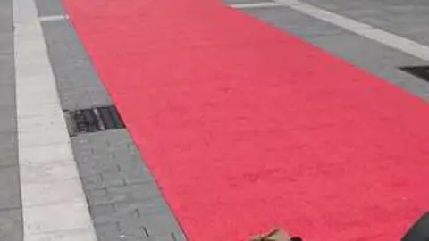 Destrozan los árboles de la alfombra roja de San Torcuato