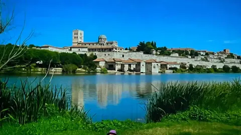 Every Dance Esencia urbana 