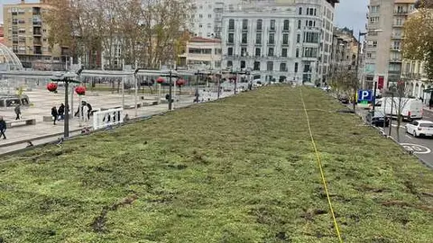 Jard&iacute;n Vertical Plaza de La Marina (5)