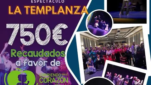 Recaudaci&oacute;n espect&aacute;culo Aires Rocieros Corriendo con el Coraz&oacute;n por Hugo