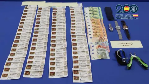 Robos en viviendas Zamora y otras ciudades - polic&iacute;a nacional