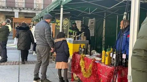 mercado de Navidad y mercado ecol&oacute;gico 