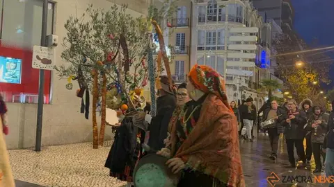  Desfile de Ramos de Navidad_21