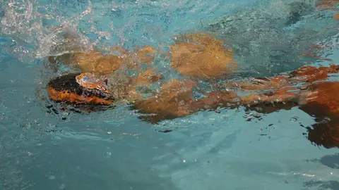 Fotograf&iacute;a FECLESS (2)