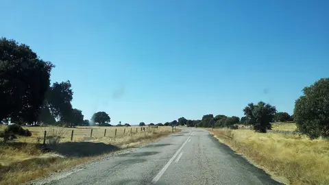 Tramo de la SA-305 entre Ledesma y el l&iacute;mite con la provincia de Zamora (2).