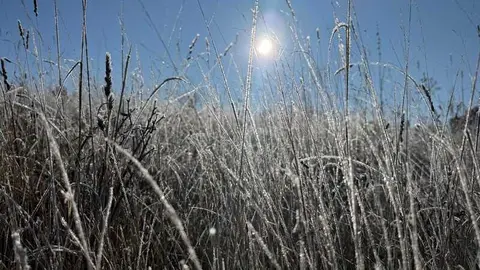 d&iacute;a de sol con helada en la provincia de Zamora _4