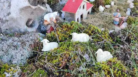 17347cb7-099f-413d-8cd5-b7049cf7842d