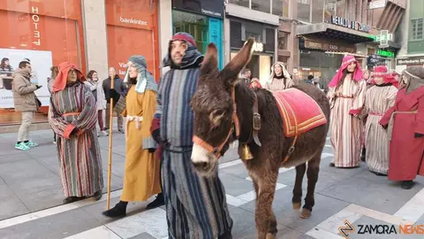 Bel&eacute;n Viviente Zamora _12