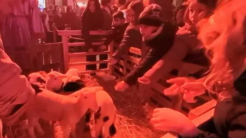 Bel&eacute;n Viviente Zamora _38