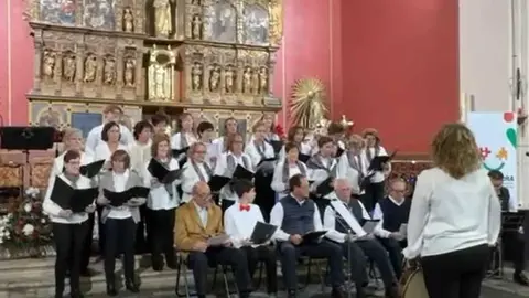 Concierto Solidario Fuentelape&ntilde;a con AFA Zamora - imagen redes