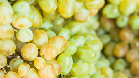 Imagen de uvas. Foto FACUA