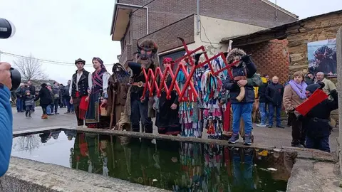 Cencerrones Abejera - imagen cedida A.C. El Castro _2