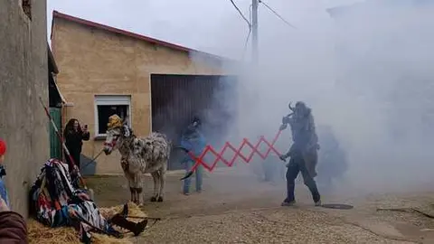 Cencerrones Abejera - imagen cedida A.C. El Castro _8