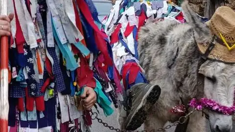 Cencerrones Abejera - imagen cedida A.C. El Castro _9