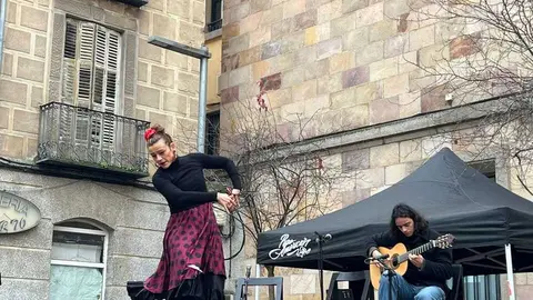 Escuela de Baile Carmen Ledesma actuaci&oacute;n navidad _3