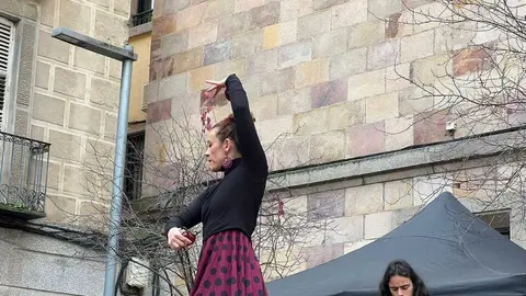 Escuela de Baile Carmen Ledesma actuaci&oacute;n navidad _5