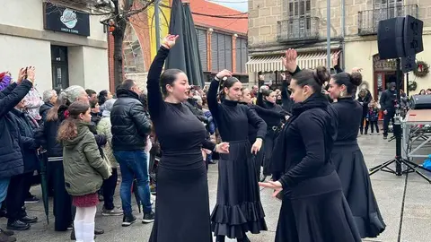 Escuela de Baile Carmen Ledesma actuaci&oacute;n navidad _14