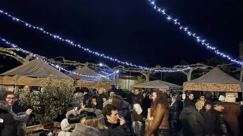 Bel&eacute;n Viviente Villalaz&aacute;n _20