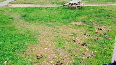 Zona del entorno de La Josa, donde se acumulan las heces de perros