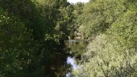 Santa Eulalia del R&iacute;o Negro