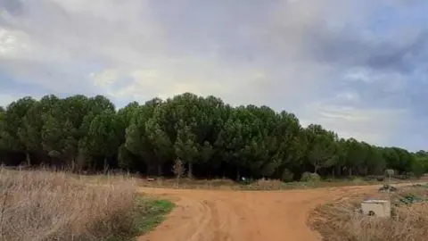 Zona de monte en un pueblo de Zamora