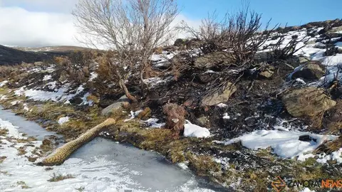 sanabria peces fr&iacute;o_11