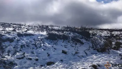 sanabria peces fr&iacute;o_14