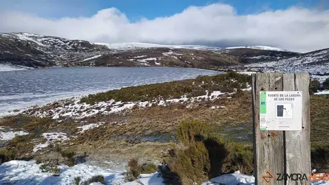 sanabria peces fr&iacute;o_19