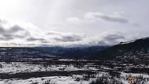 sanabria peces fr&iacute;o_20