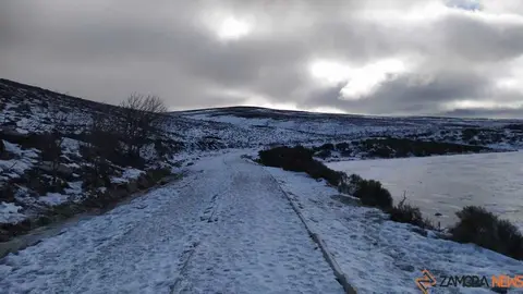 sanabria peces fr&iacute;o_23