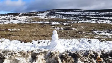 sanabria peces fr&iacute;o_25