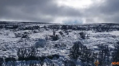 sanabria peces fr&iacute;o_27