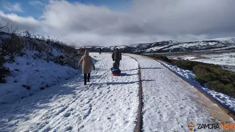 sanabria peces fr&iacute;o_26
