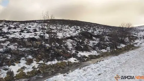 sanabria peces fr&iacute;o_30