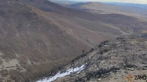 sanabria peces fr&iacute;o_29