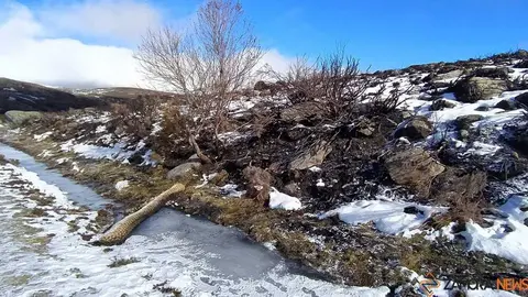 sanabria peces fr&iacute;o_37