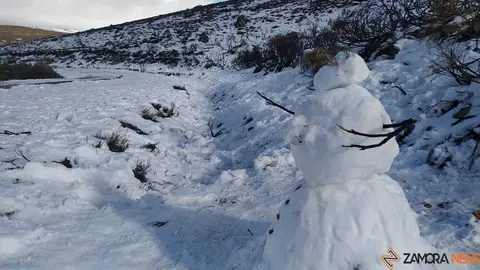 sanabria peces fr&iacute;o_42