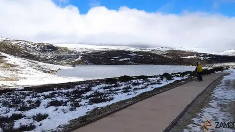 sanabria peces fr&iacute;o_46